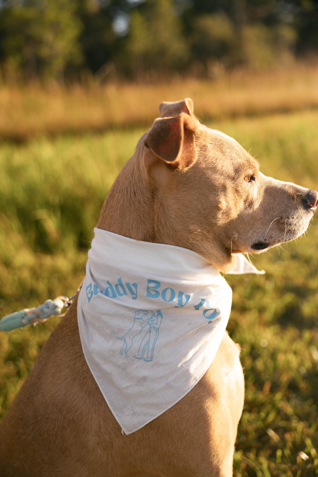 The Buddy Bandana